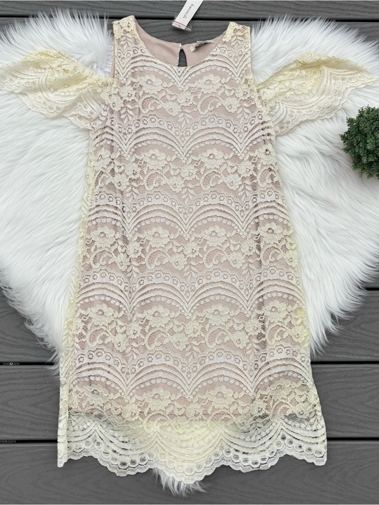 Francesca's Collections Dresses & Skirts - Open Shoulder Lace Dress